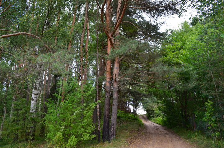 Участок 25 сот. (ИЖС)