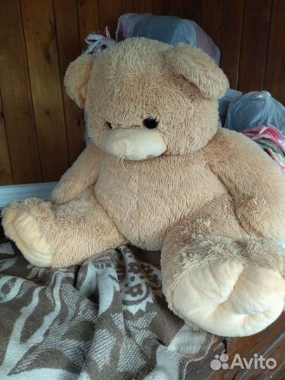 Плюшевый медведь
