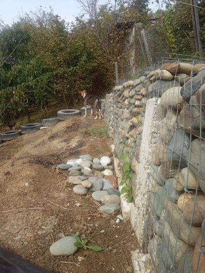 Участок 6,1 сот. (СНТ, ДНП)