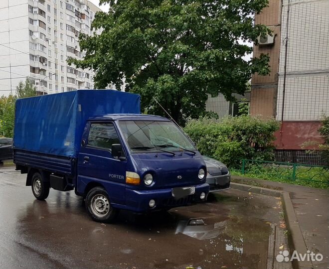 Грузоперевозки на Hyundai porter