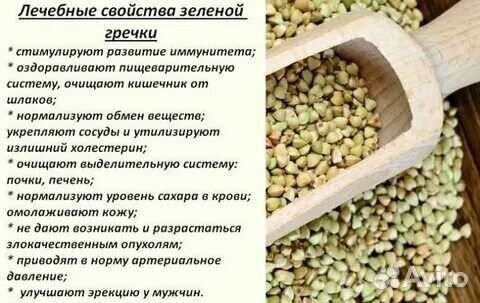 Гречка зеленая