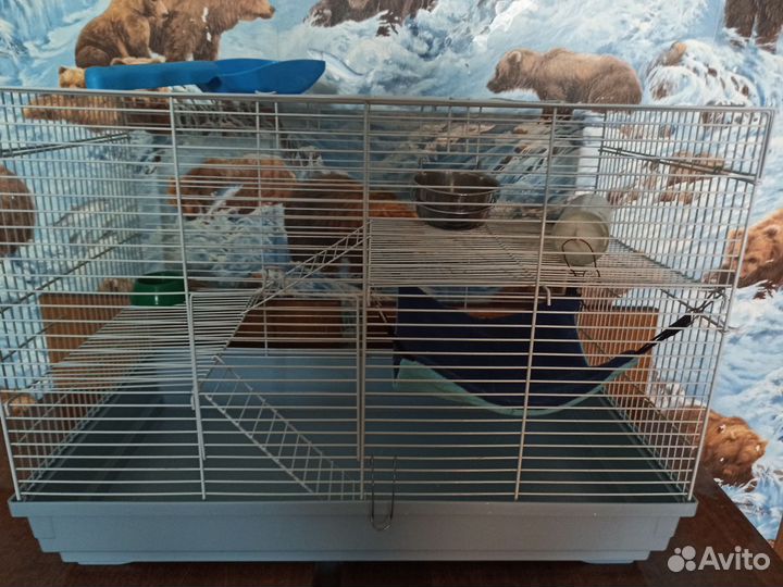 Клетка для грызунов большая 60*35*40
