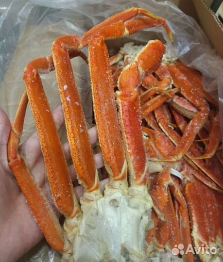 Конечности краба стригуна в/м