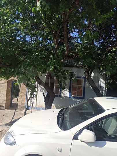 Дом 54 м² на участке 7 сот.