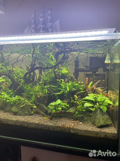 Аквариумный комплекс 225 литров в сборе