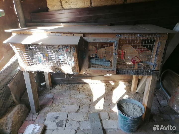 Клетки для кроликов