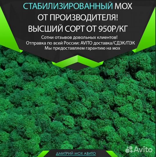 Стабилизированный мох для живых деревьев кашпо