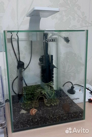 Аквариум