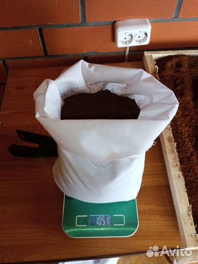 Чага березовая от сборщика