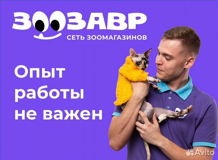 Продавец-кассир в зоозавр (ул 3-го Интернационала)