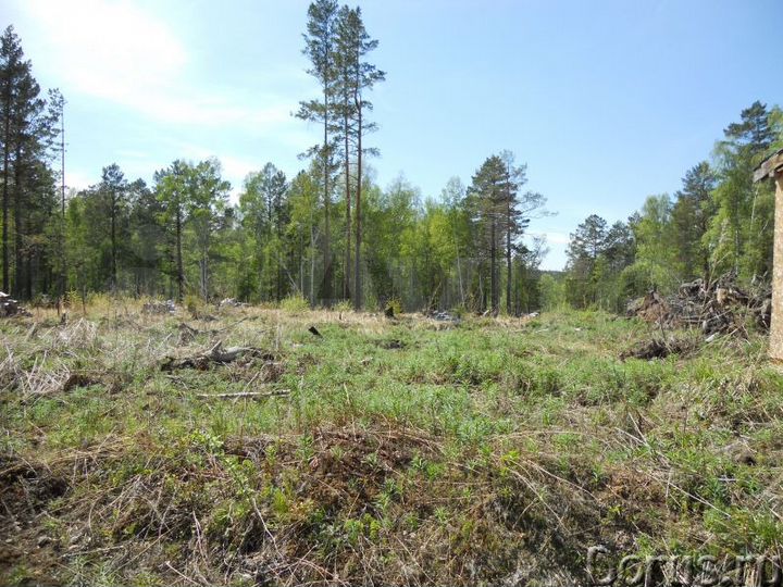 Участок 15 сот. (ИЖС)