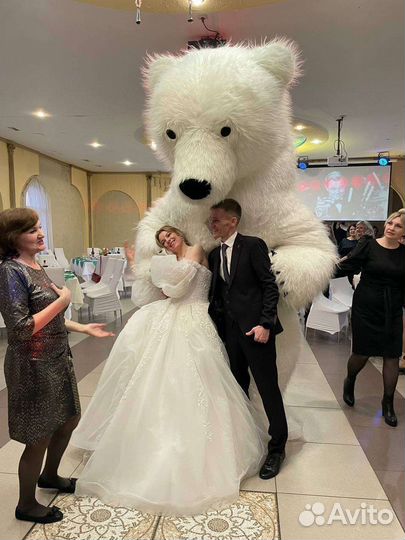 Белый Мишка Поздравление