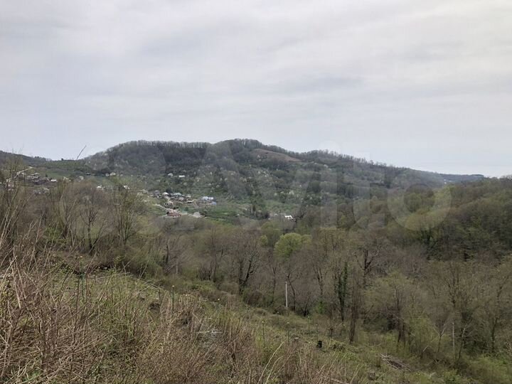 Участок 6,2 сот. (СНТ, ДНП)