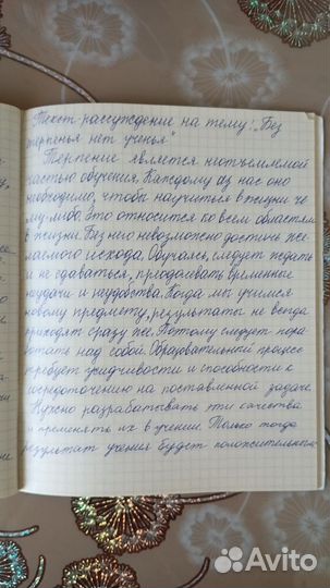 Образование