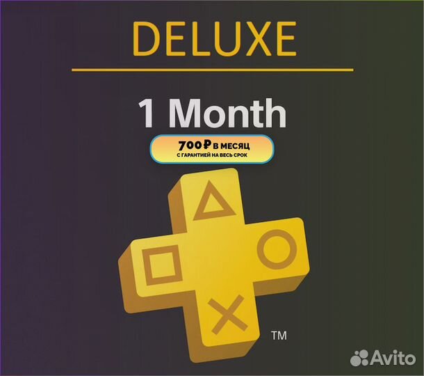 Подписка Ps Plus + Игра