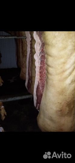 Мясо свинина оптом