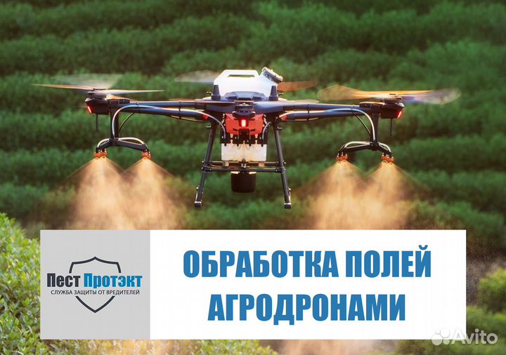 Обработка полей дронами, внесение сзр, десикация