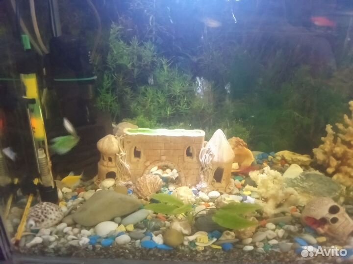 Продам аквариум