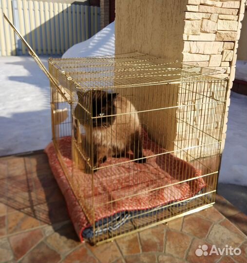 Вольер (клетка) для котят, щенят и попугаев