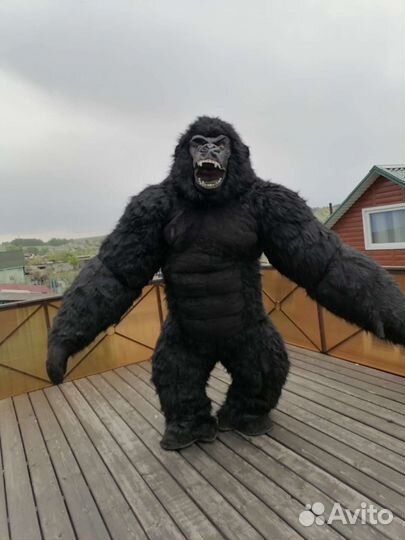 Поздравление