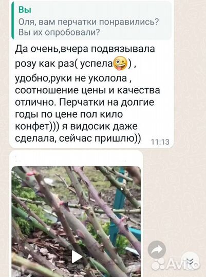 Перчатки Краги для колючих кустарников