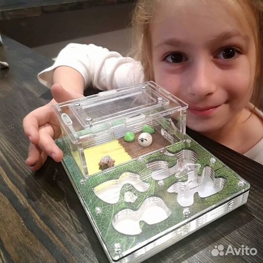 Муравьиная ферма отличный подарок окончанию школы