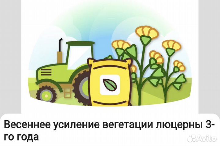 Семена люцерны джея