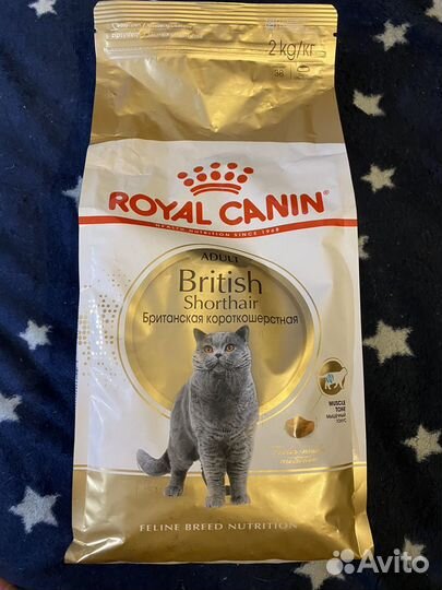 Корм для кошек royal canin British