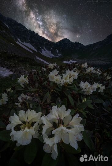 Объектив Laowa 15mm f/2 (Nikon Z)