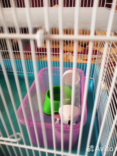 Клетка для грызунов