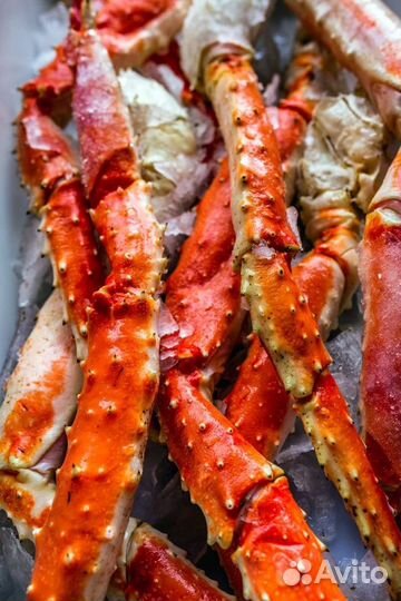 Клешни камчатского краба