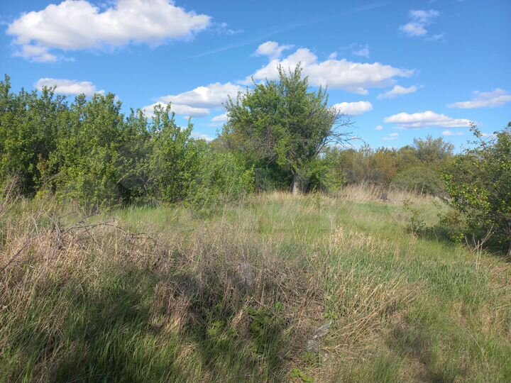 Участок 6 сот. (СНТ, ДНП)