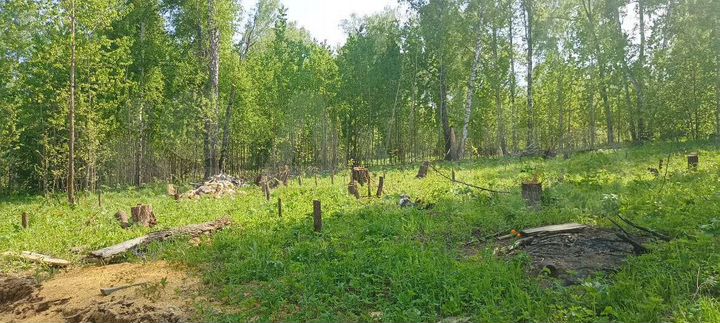 Участок 11,5 сот. (СНТ, ДНП)