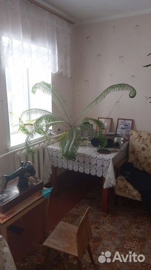 Большой Цикас