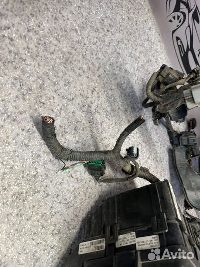 Корпус блока предохранителей Kia Rio 4 4