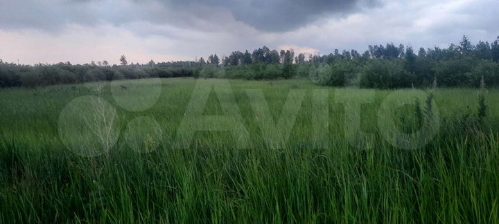 Участок 10 сот. (ИЖС)