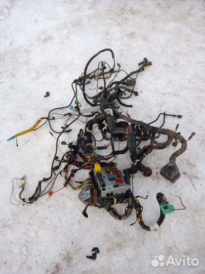 Проводка Opel Astra G хэтчбек 3 двери