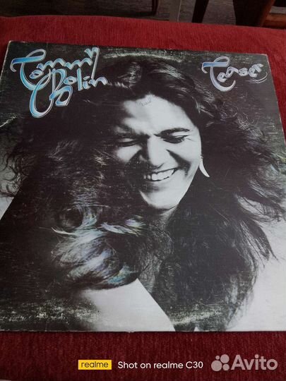 Виниловая пластинка