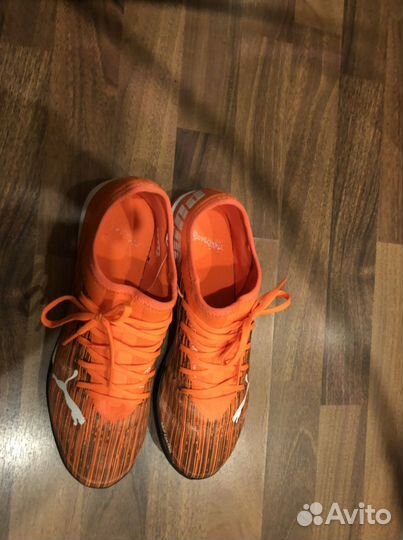 Сороконожки