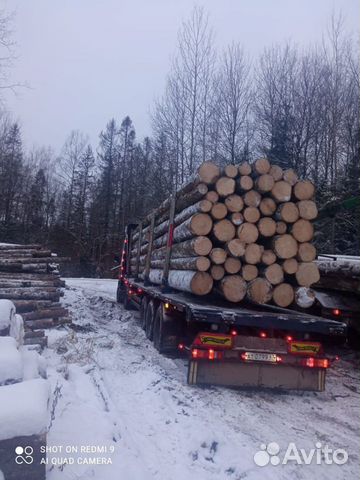 Пиловочник Хвойный Оптом