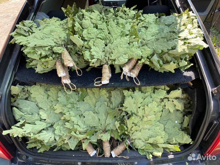 Веники для бани 2024 (от 10 шт.)