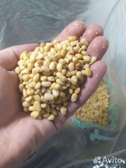 Ядро кедрового ореха 500 гр