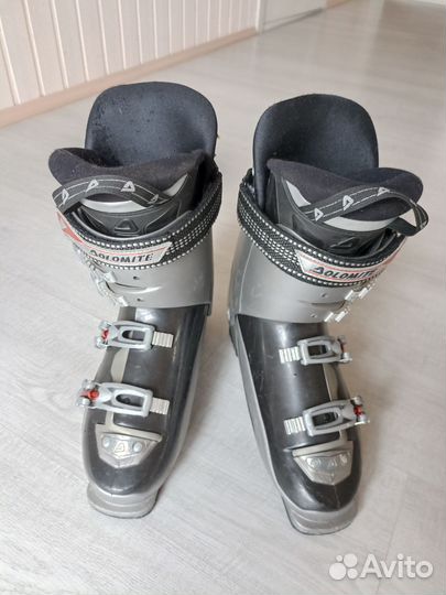 Горные лыжи