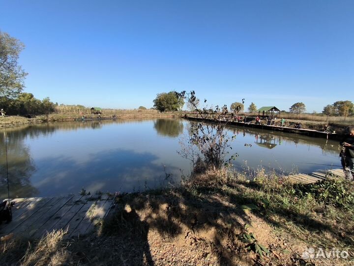 Продам Озеро.Готовый Бизнес