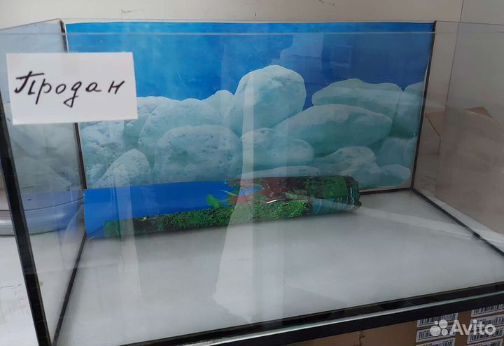 Аквариум