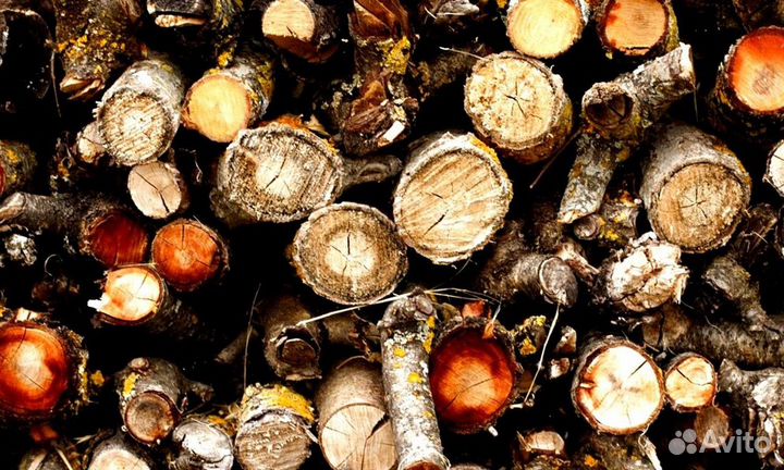 Дрова в баню