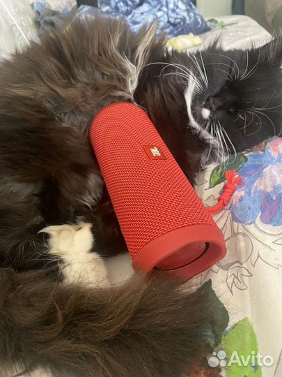 Колонка jbl flip 4