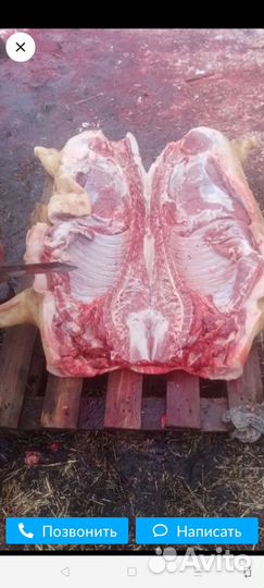 Мясо свинины