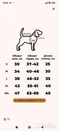 Жилет со шлейкой р45 на собаку среднего размера