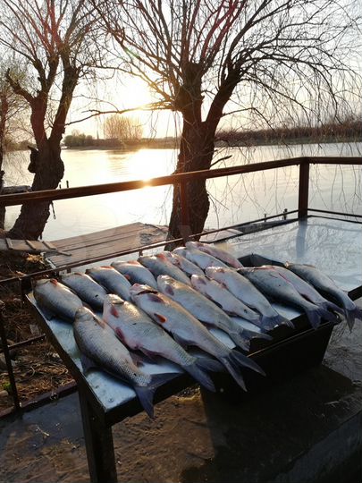 Дом 100 м² на участке 10 сот.